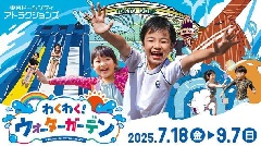 写真１