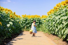 写真１