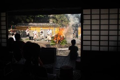写真１