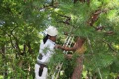 写真１