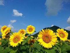 写真１