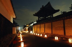 写真１