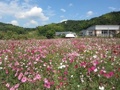写真１