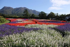 写真１