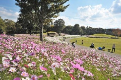 写真１