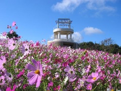 写真１