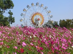 写真１