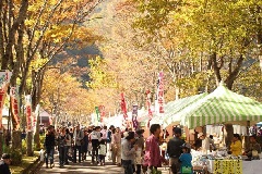 写真１