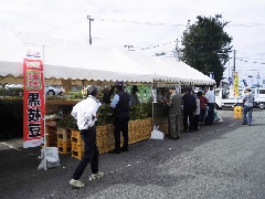 城東味まつり 年は中止となりました 近畿エリア おでかけガイド Jrおでかけネット