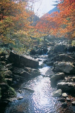 くらがり渓谷の紅葉 東京 中部エリア おでかけガイド Jrおでかけネット