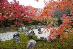 将軍塚青龍殿の紅葉 近畿エリア おでかけガイド Jrおでかけネット