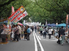 いっちゃが宮崎 楠並木朝市 九州エリア おでかけガイド Jrおでかけネット