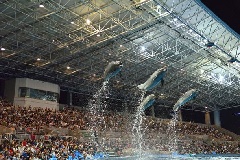 名古屋港水族館 ゴールデンウィークイベント 東京 中部エリア おでかけガイド Jrおでかけネット