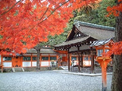 吉田神社の紅葉 近畿エリア おでかけガイド Jrおでかけネット