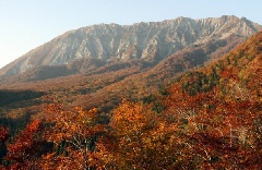 奥大山 鍵掛峠の紅葉 中国エリア おでかけガイド Jrおでかけネット