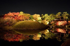 梅小路公園 紅葉まつり 近畿エリア おでかけガイド Jrおでかけネット