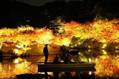 栗林公園秋のライトアップ 四国エリア おでかけガイド Jrおでかけネット