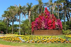 ブーゲンコレクション22 九州エリア おでかけガイド Jrおでかけネット ブーゲンコレクション22 九州エリア おでかけガイド Jrおでかけネット