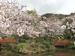 倉吉春まつり：中国エリア | おでかけガイド：JRおでかけネット
