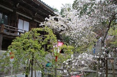 播州清水寺 西国第25番札所｜公式サイト – 兵庫県加東市 御嶽山