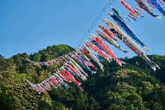 こいのぼりの川渡し：四国エリア | おでかけガイド：JRおでかけ