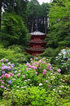 浄瑠璃寺：近畿エリア | おでかけガイド：JRおでかけネット