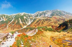 Ginrei　氷雪の立山室堂平 Ginrei 氷雪の立山室堂平 （ネット限定お買い得商品 - ショップ