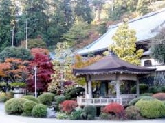 箱根マイセンアンティーク美術館：東京・中部エリア | おでかけ