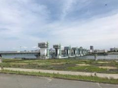 淀川マラソン＆ウォーク2026：近畿エリア | おでかけガイド：JR