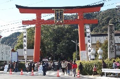 梅宮大社神苑の梅林：近畿エリア | おでかけガイド：JRおでかけネット