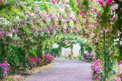 種子島：九州エリア | おでかけガイド：JRおでかけネット