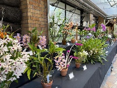 KOBE鉄人三国志ギャラリー：近畿エリア | おでかけガイド：JRおでかけ