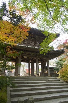 功山寺の紅葉 中国エリア おでかけガイド Jrおでかけネット