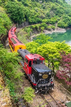 嵯峨野トロッコ列車運転 近畿エリア おでかけガイド Jrおでかけネット