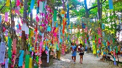 機物神社 七夕祭り 21年の七夕祭りは中止 神事のみ行われます 近畿エリア おでかけガイド Jrおでかけネット 機物神社 七夕祭り 21年の七夕祭りは中止 神事のみ行われます 近畿エリア おでかけガイド Jrおでかけネット