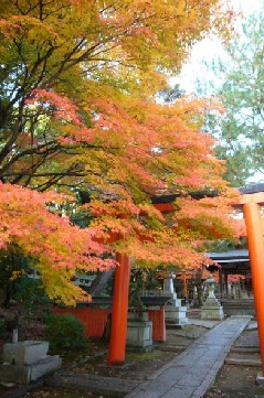 吉田神社の紅葉 近畿エリア おでかけガイド Jrおでかけネット