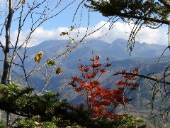 御嶽パノラマラインの紅葉 東京 中部エリア おでかけガイド Jrおでかけネット