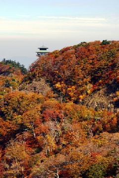 高野龍神スカイラインの紅葉 近畿エリア おでかけガイド Jrおでかけネット