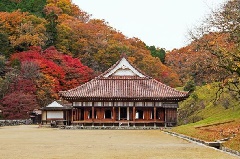 旧閑谷学校 紅葉とライトアップ 中国エリア おでかけガイド Jrおでかけネット