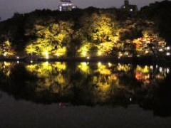 錦を纏う 徳川園紅葉祭 東京 中部エリア おでかけガイド Jrおでかけネット