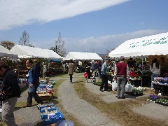 兵庫県 宝塚観賞植物品評会 および 宝塚植木まつり 21年は中止となりました 近畿エリア おでかけガイド Jrおでかけネット