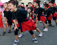 天草ほんど花火大会 九州エリア おでかけガイド Jrおでかけネット