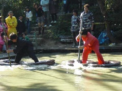 全日本忍者選手権大会 近畿エリア おでかけガイド Jrおでかけネット