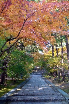 竹林寺の紅葉 四国エリア おでかけガイド Jrおでかけネット