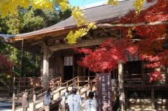 竹林寺の紅葉 四国エリア おでかけガイド Jrおでかけネット
