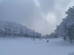 女鹿平温泉めがひらスキー場：中国エリア | おでかけガイド：JRおでかけネット