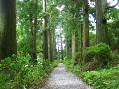 箱根・芦ノ湖 成川美術館：東京・中部エリア | おでかけガイド