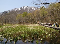 奥裾花自然園 東京 中部エリア おでかけガイド Jrおでかけネット