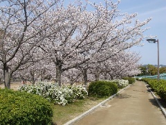 瑞ケ池公園：近畿エリア  おでかけガイド：JRおでかけネット