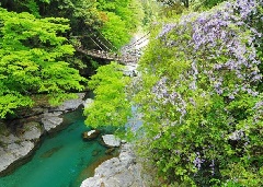 祖谷のかずら橋 四国エリア おでかけガイド Jrおでかけネット